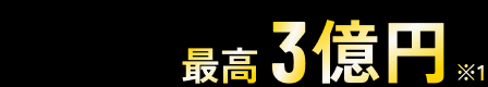 最高3億円※1